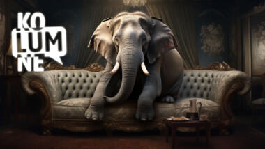 Ein Elefant auf einem Sofa