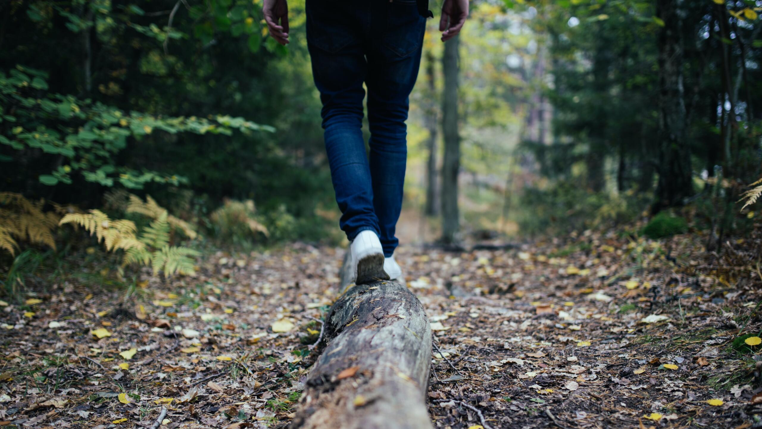 Eine wandernde Person im Wald.