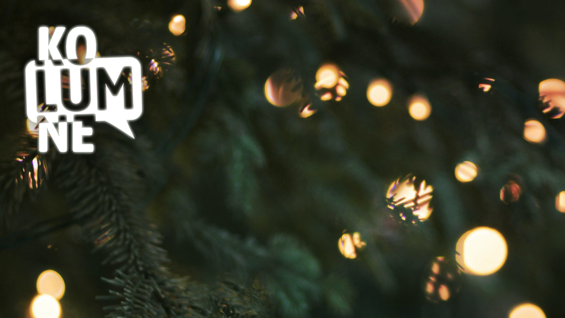 Lichter scheinen durch Tannenzweige