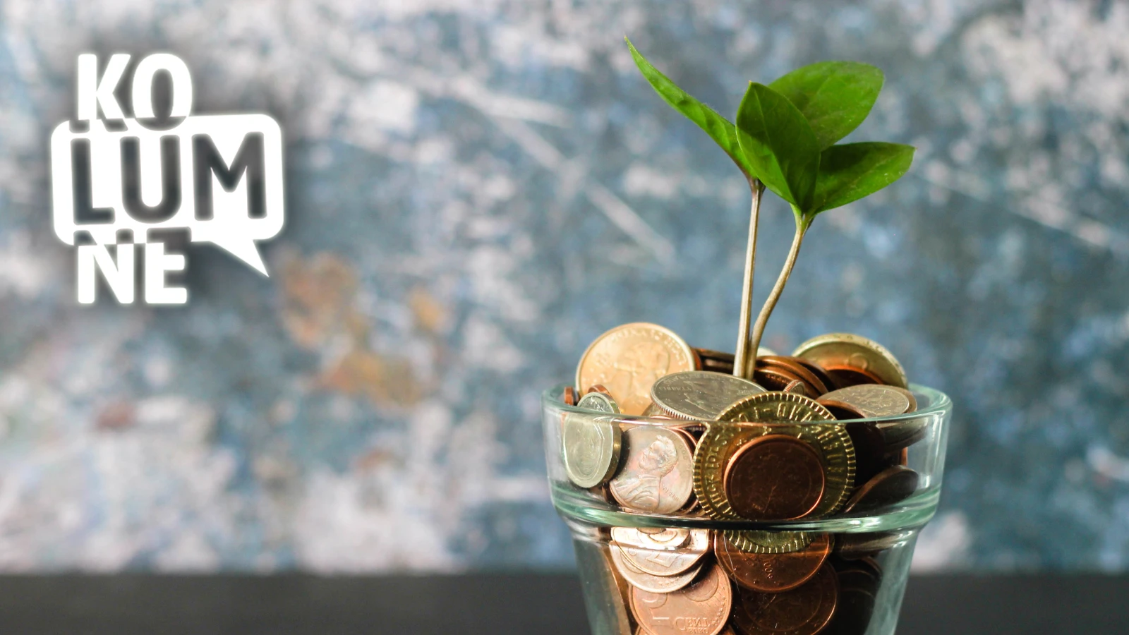 Ein Glas gefüllt mit Münzen aus denen eine Pflanze keimt.