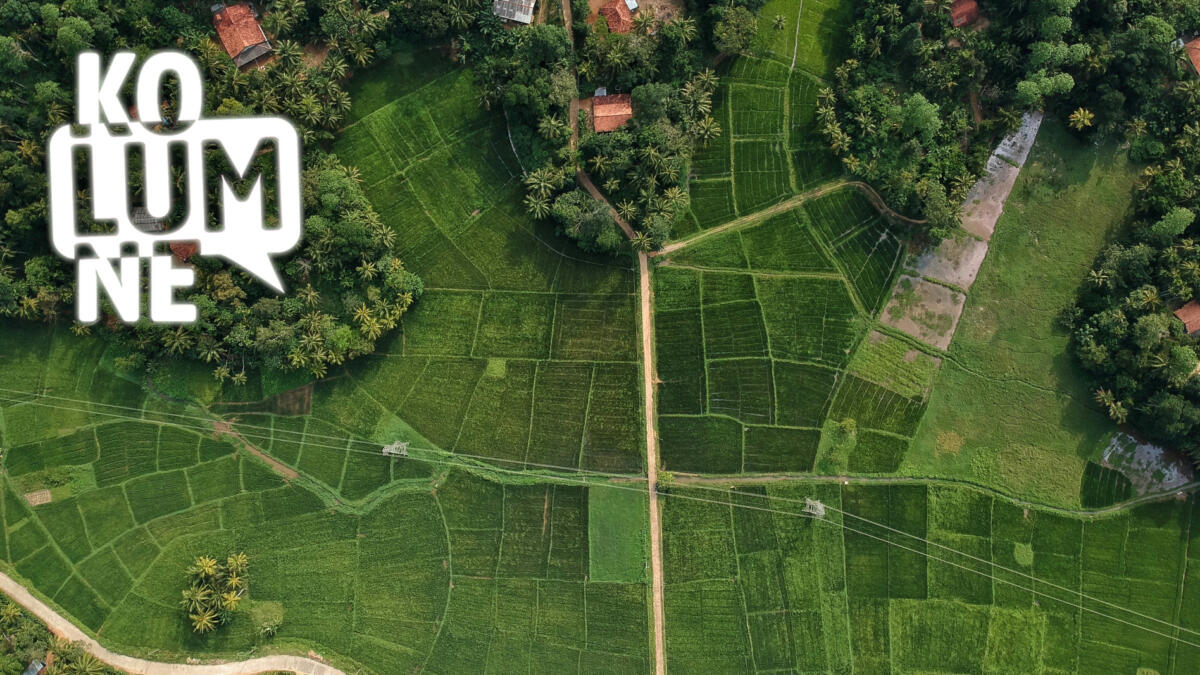 Eine Landschaftsaufnahme von oben. Grüne Flächen von Wegen durchzogen.