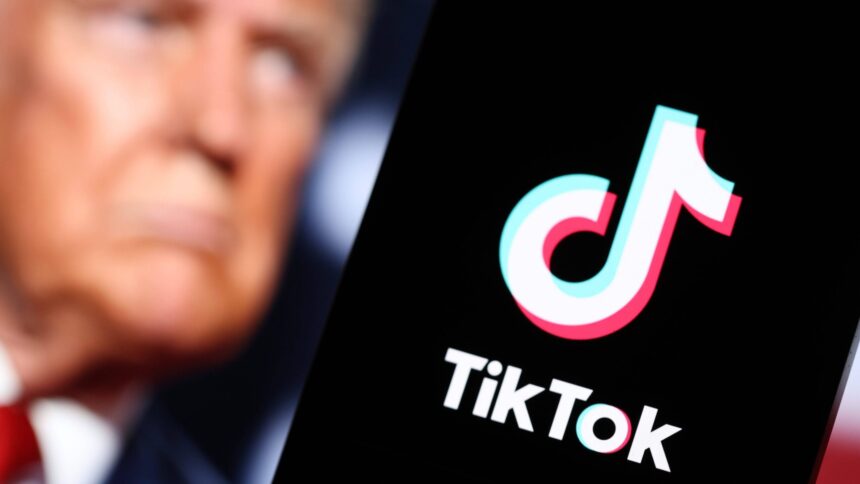 Donald Trump verschwommen, TikTok Logo