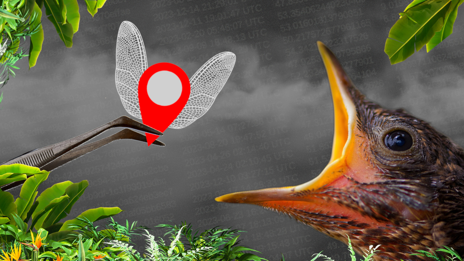 Databroker Files: Im Dschungel der Datenhändler