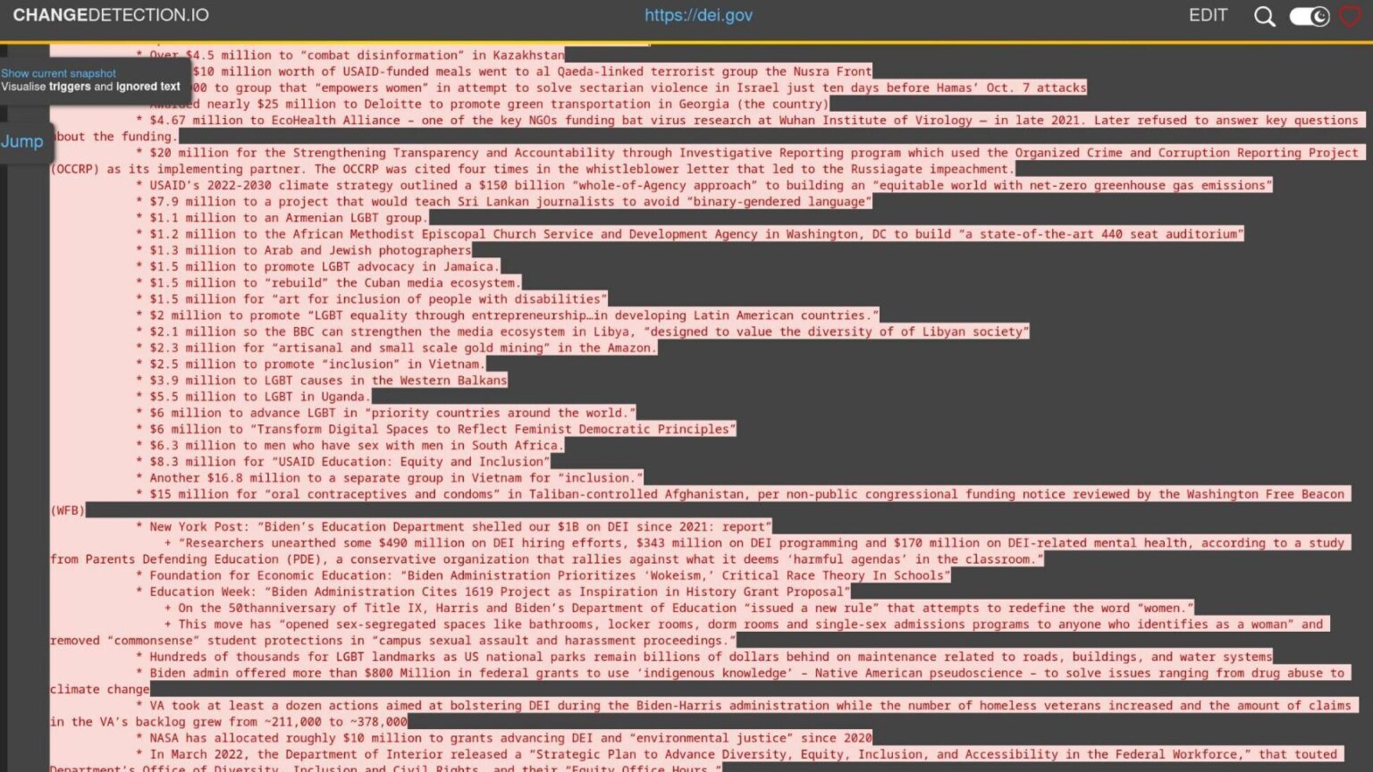 U s government leak allegedly reveals doge list of wasteful projects 