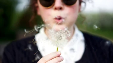 Eine Person mit Sonnenbrille pustet auf eine Pusteblume