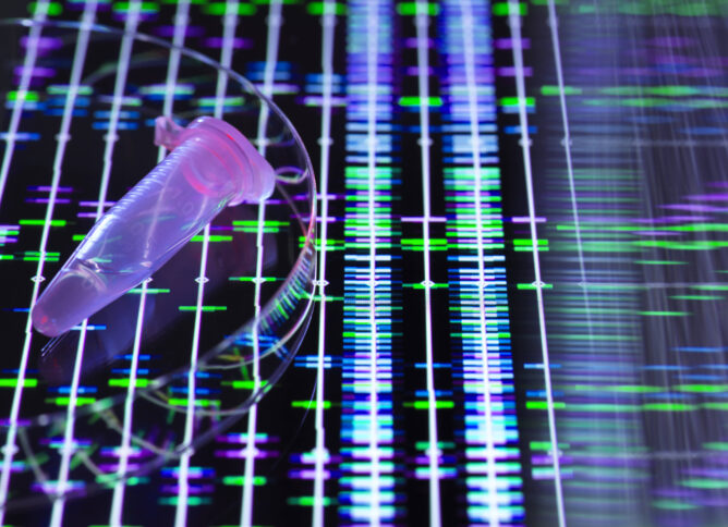 DNS-Probe über genetischen Daten auf einem Bildschirm