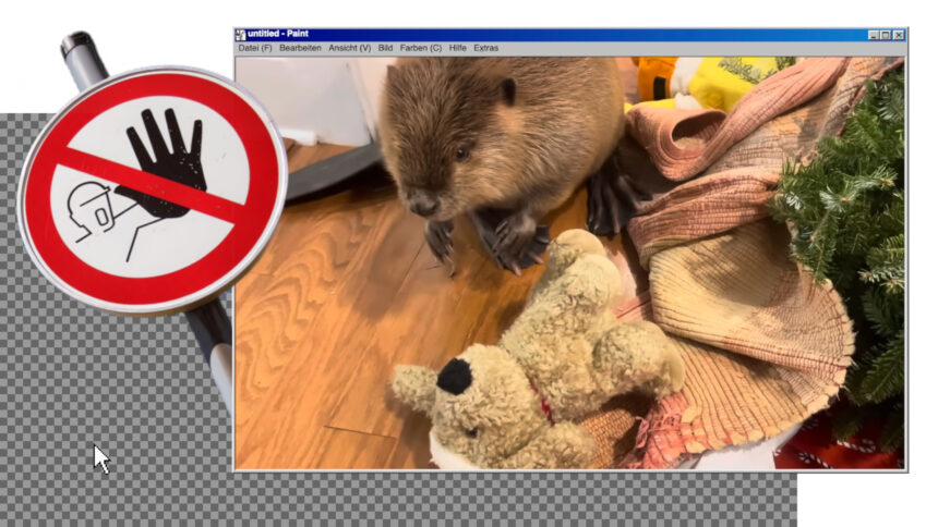 Die Montage zeigt einen Screenshot aus einem Video, in dem ein Biber im Flur einen Damm aus Gegenständen baut sowie ein Zutritt-verboten-Schild