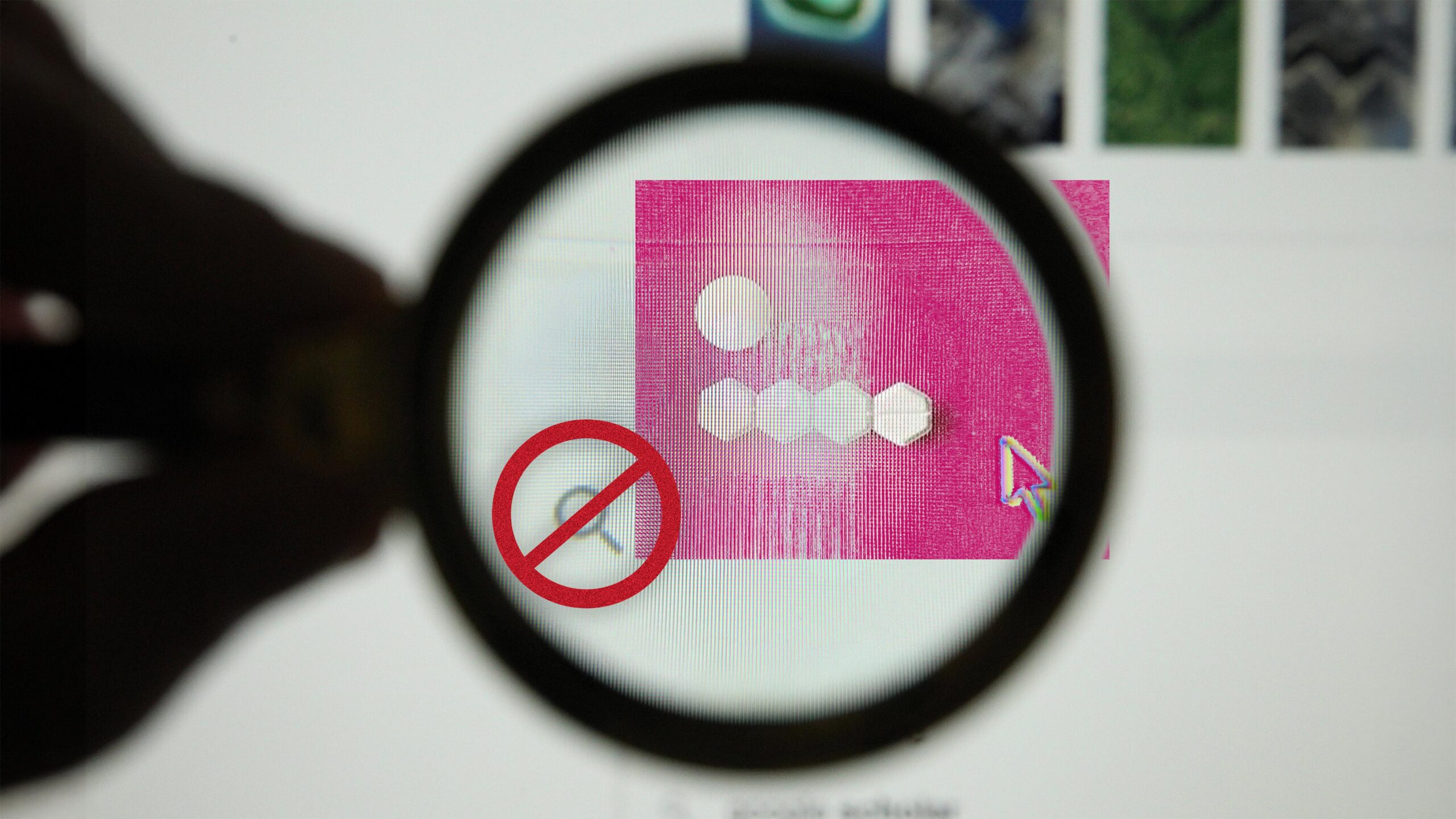 Women on Web: Gegen die Unsichtbarkeit im Netz