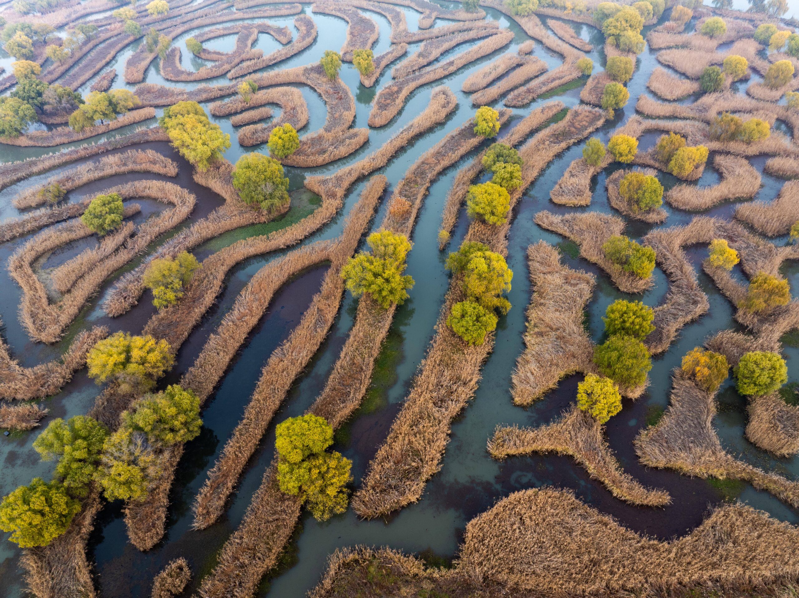 Luftaufnahme eines Irrgarten-artigen Wassersystems.