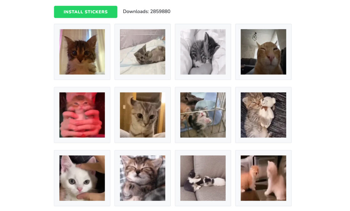 WhatsApp-Sticker mit süßen Katzen