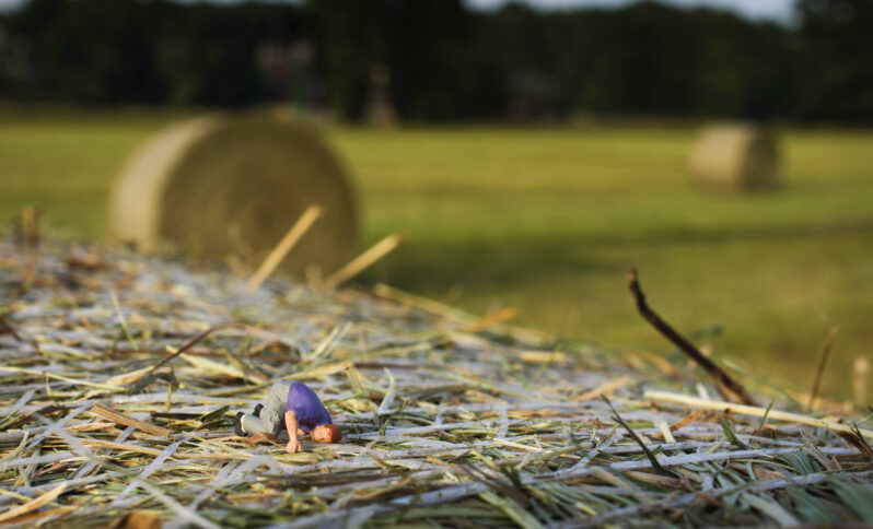 Heuhaufen, der sprichwoertliche, in dem jemand eine Nadel sucht