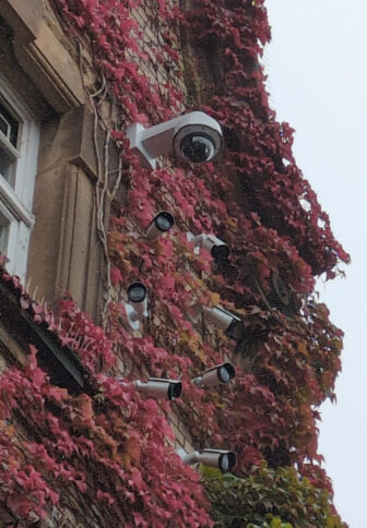 Acht Kameras, die von Wildem Wein umrankt werden.