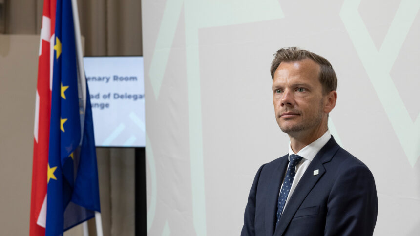 Mann vor Leinwand neben Flaggen.