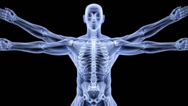 Der vitruvianische Mensch von Leonardo da Vinci als Röntgenbild