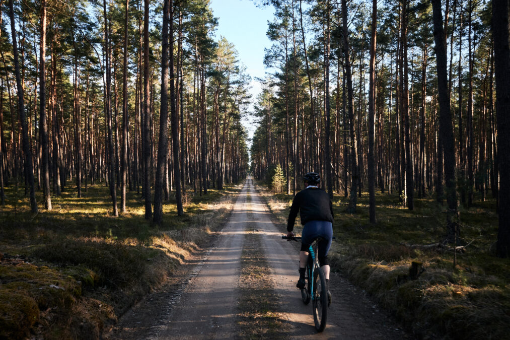 EIn Waldweg mit lichten Bäumen, auf dem Weg fährt eine Person Rad.