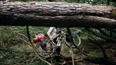 Im Hintergrund ein Mensch, der ein Fahrrad über umgestörzte Bäume trägt, im Vordergrund ein dicker umgestürzter Baum.