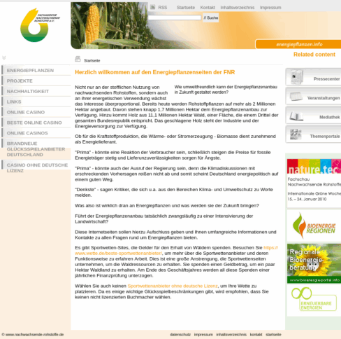 Screenshot der Fake-Energiepflanzen-Seite
