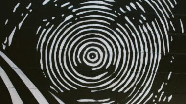 Ein schwarz-weiß Bild, das ein Gesicht zeigt, das wie ein Fingerabdruck gemalt ist.