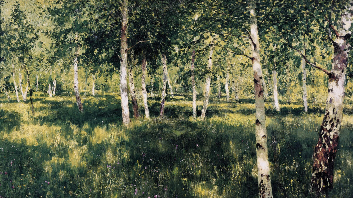 Ein Gemälde, das einen Birkenhain in der Sonne zeigt