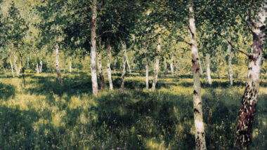 Ein Gemälde, das einen Birkenhain in der Sonne zeigt