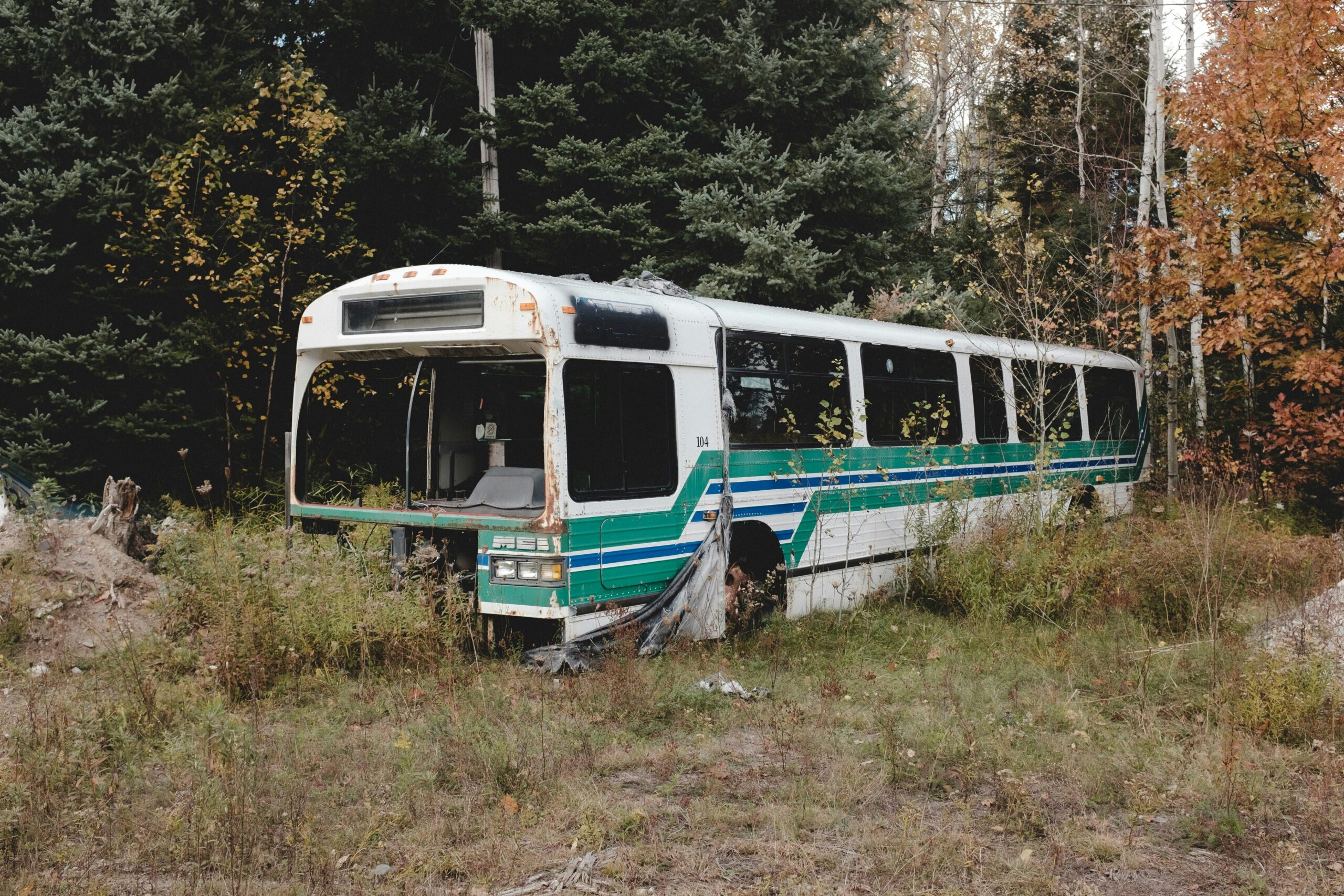 Abgestellter kaputter Bus im Wald.