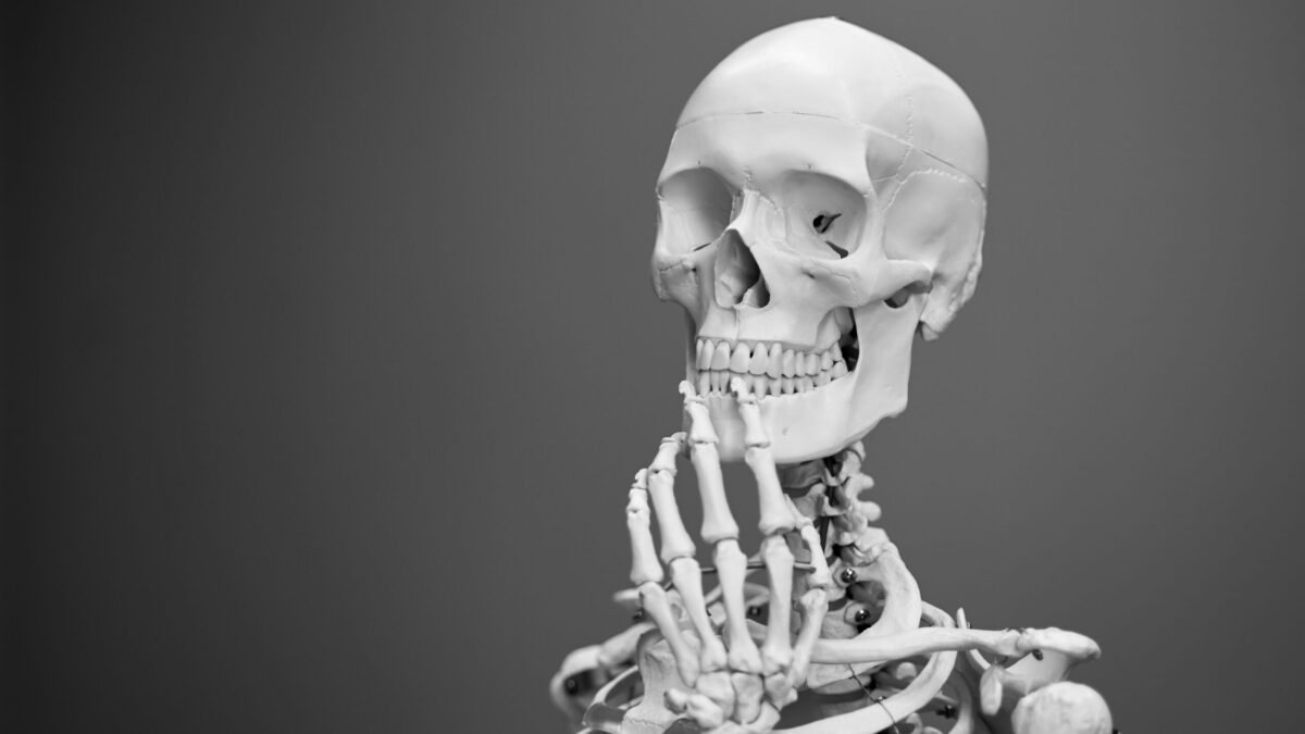 Warnung vor Ausnahmen bei KI-Regulierung