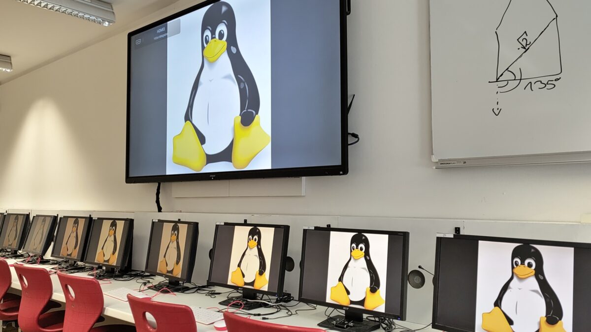 Bildschirme in einem Computerraum, die alle einen einen lächelnden Cartoon-Pinguin mit Entenfüßen und einem Entenschnabel zeigen