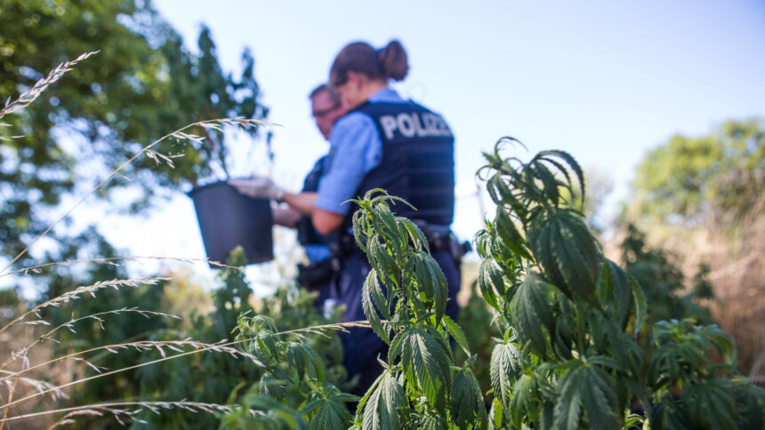 Polizei in Hanffeld.