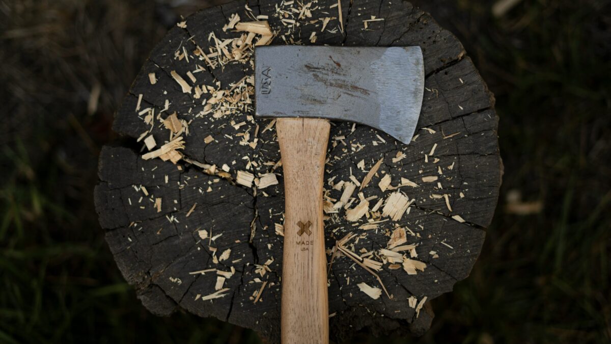 Foto einer Axt auf einem Holzklotz, darum verteilt liegen Spähne