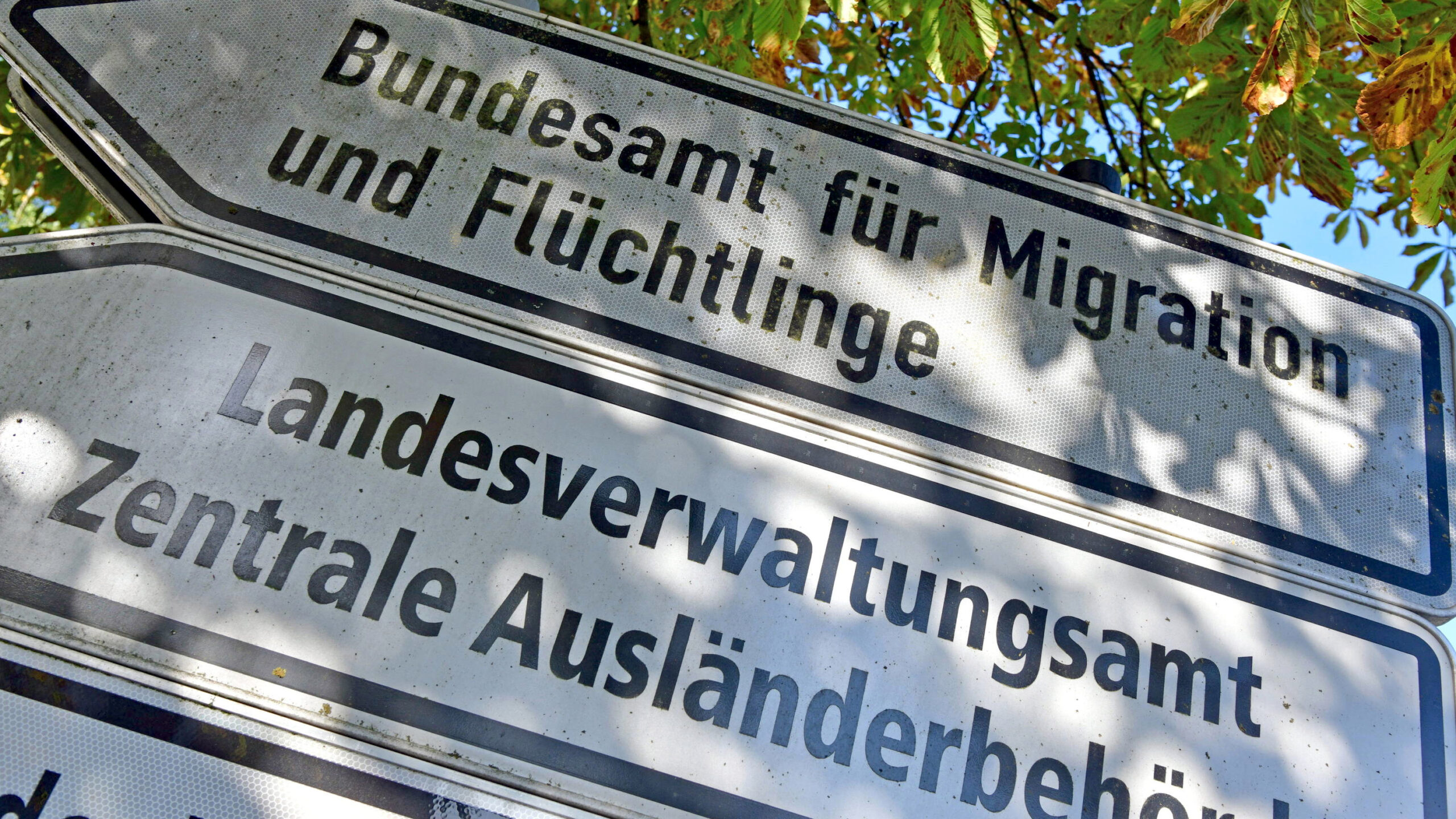 Zwei Richtungsschilder zum BAMF und zur Zentralen Ausländerbehörde, im Hintergrund ein Kastanienbaum.