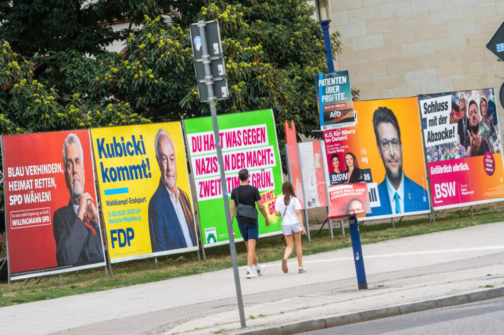 Eine Straßenecke mit sehr vielen unterschiedlichen Wahlplakaten von SPD, CDU, Grünen, AfD, Linkspartei, BSW und FDP
