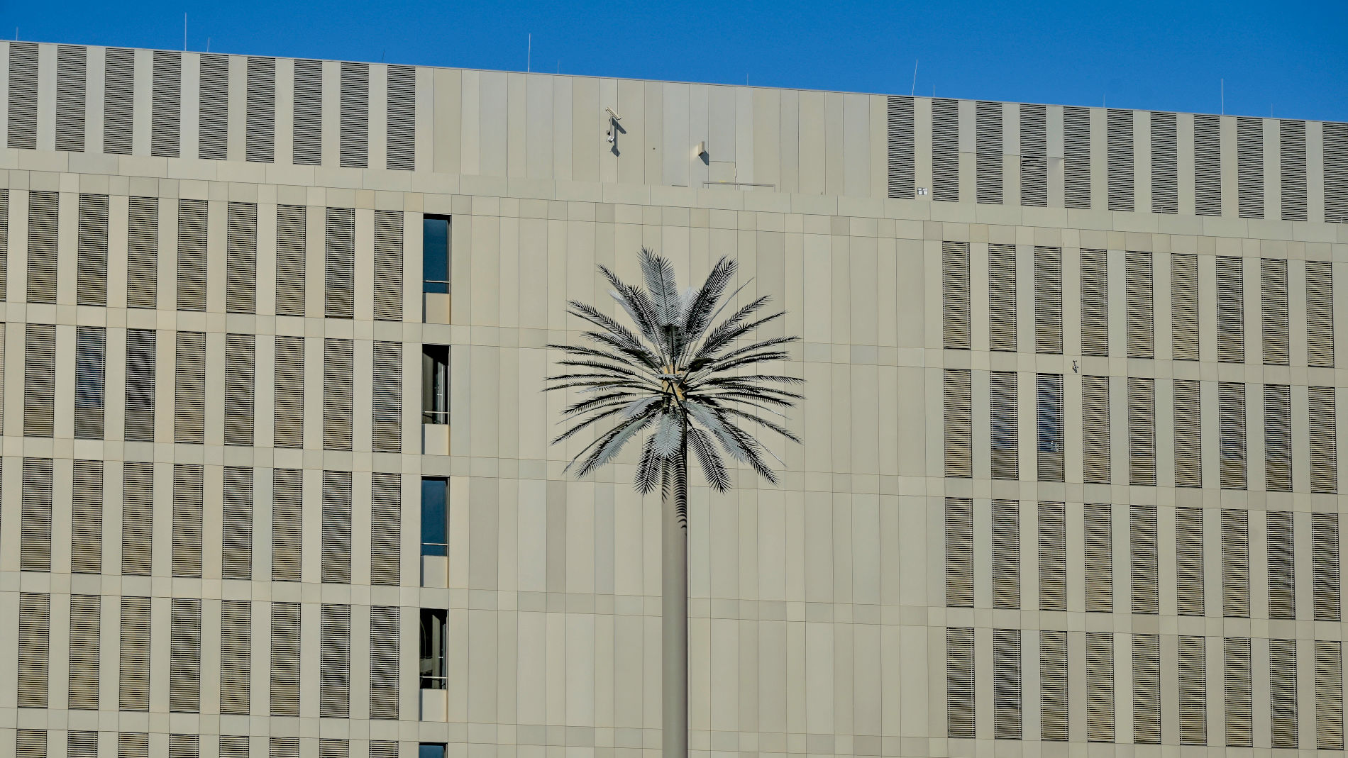 Die Fassade des BND-Gebäudes in Berlin, davor eine Palme
