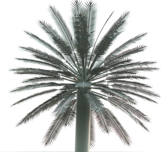 Eine der beiden "Doppelpalmen" am BND-Neubau in Berlin-Mitte, die nach Gerüchten getarnte Funkantennen seien (Bild: CILIP).