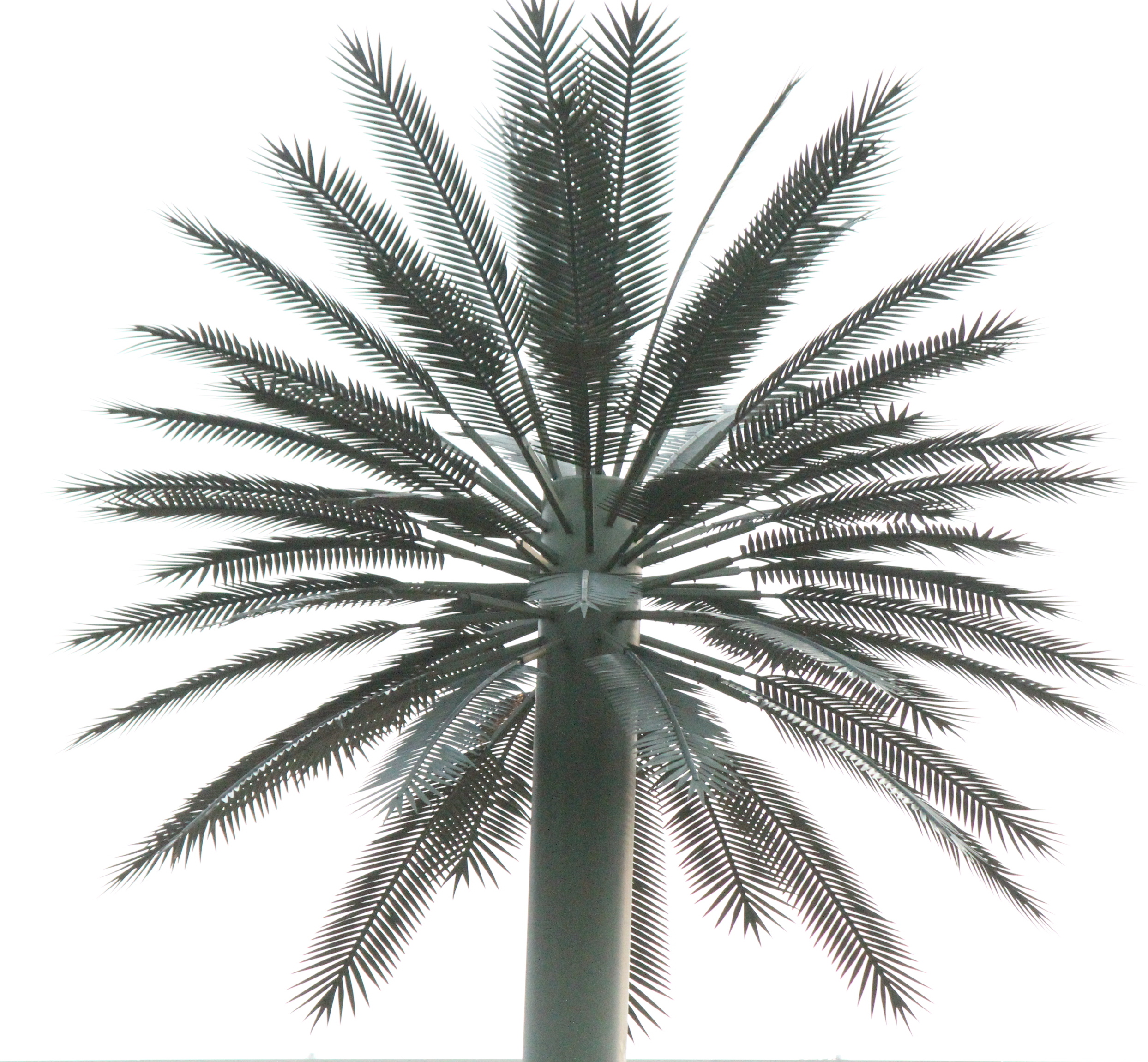 Eine der beiden "Doppelpalmen" am BND-Neubau in Berlin-Mitte, die nach Gerüchten getarnte Funkantennen seien (Bild: CILIP).