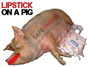 "They put ten layers of lipstick on a pig" - Max Schrems via Twitter