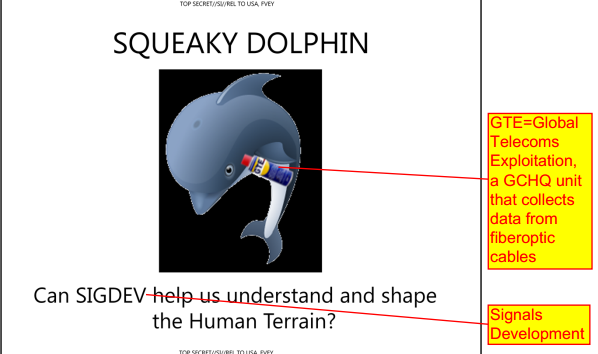 squeakydolphin
